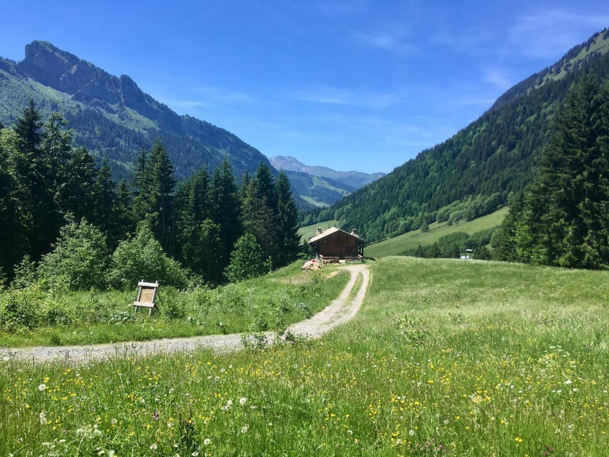 Chalet Marmotte 3 Morzine Exterior photo